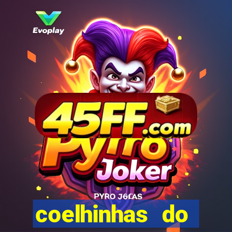 coelhinhas do brasil recife